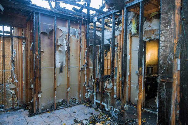 Professional Fire Damage Removal technician working in Madison, WV